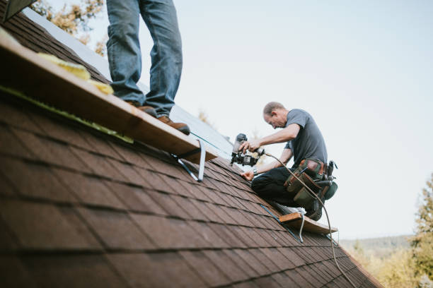 Quick and Trustworthy Emergency Roof Repair Services in Park Ridge, IL